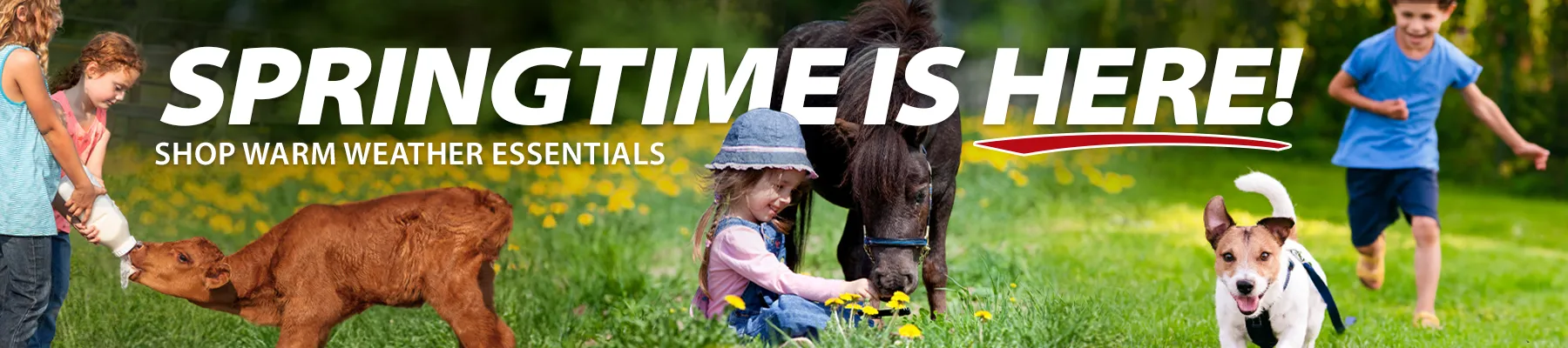 Premium Care for Every Animal