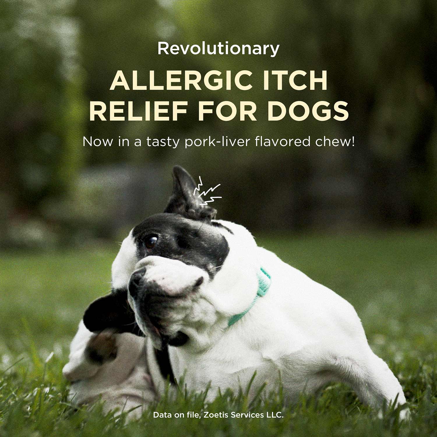 Thumbnail 16
