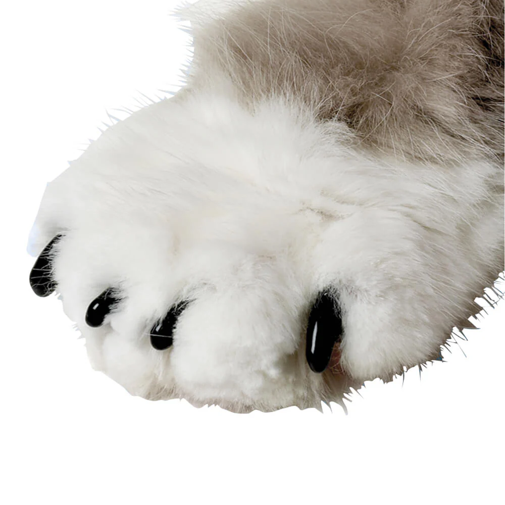 Thumbnail 23