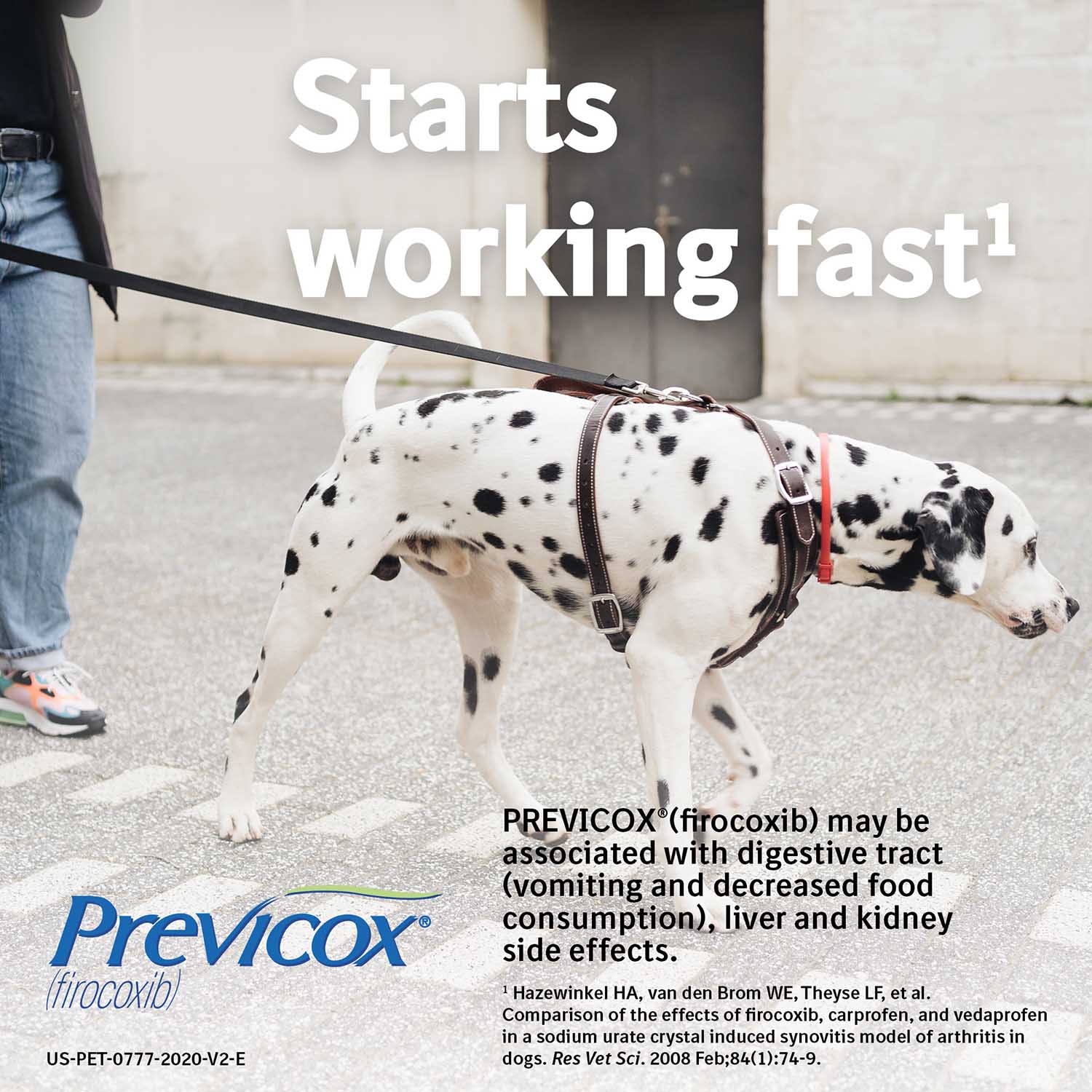 Thumbnail 41