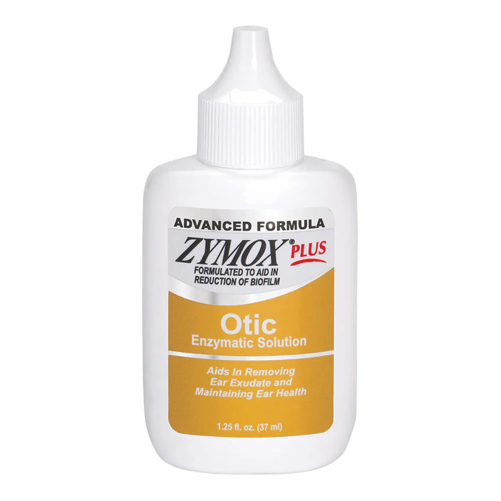 New Cat & Kitten Products